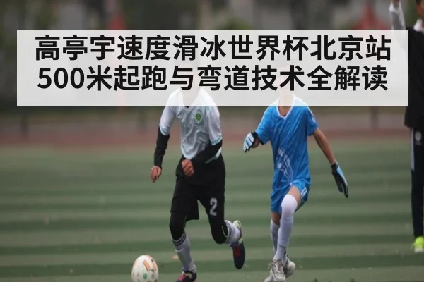 高亭宇速度滑冰世界杯北京站500米起跑与弯道技术全解读